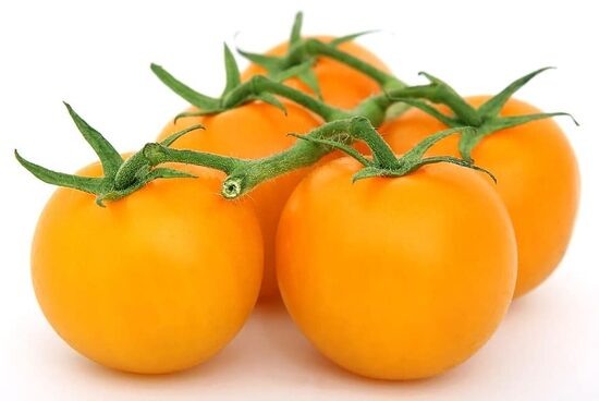 Zloty Ožarowski, oranži siltumnīcu tomāti. Tomātu sēklas.  